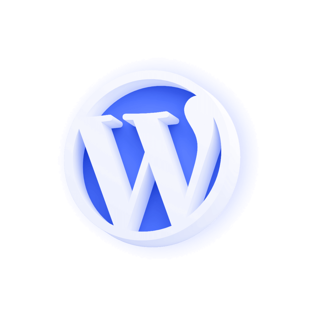 WordPress Development Agency